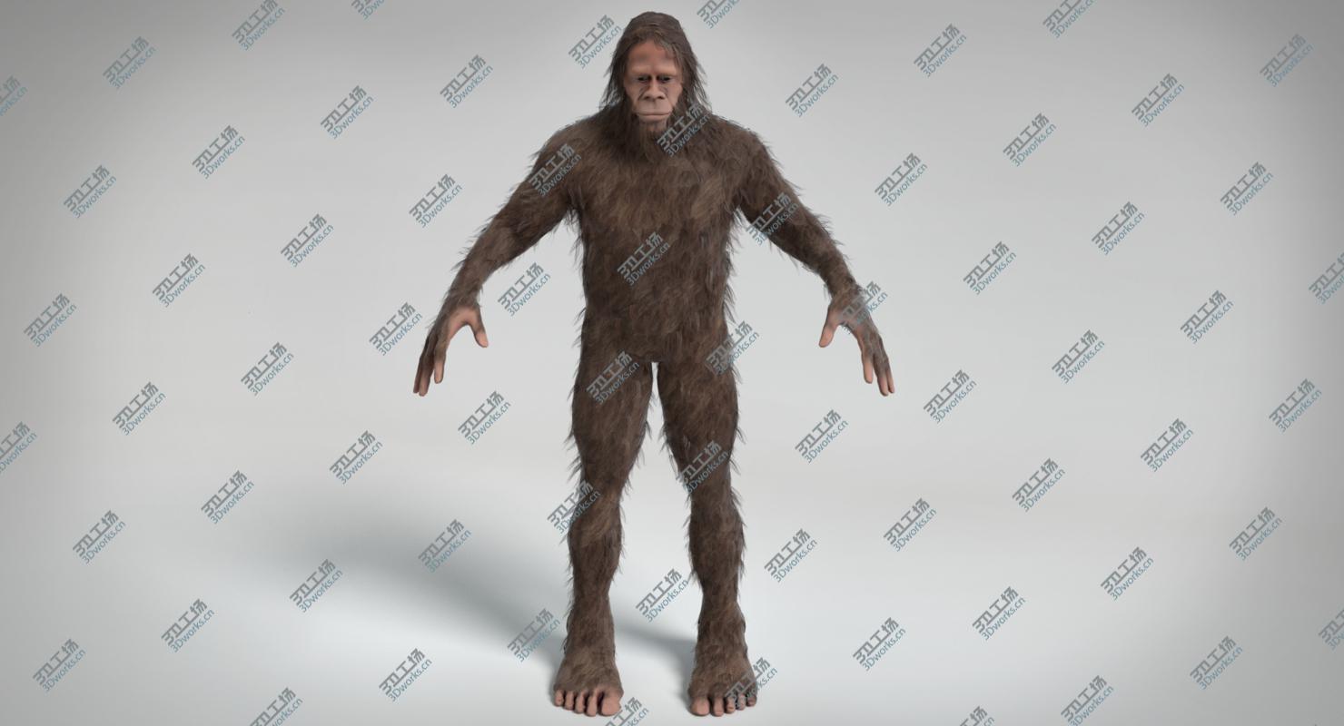 images/goods_img/2021040164/3D Bigfoot/1.jpg